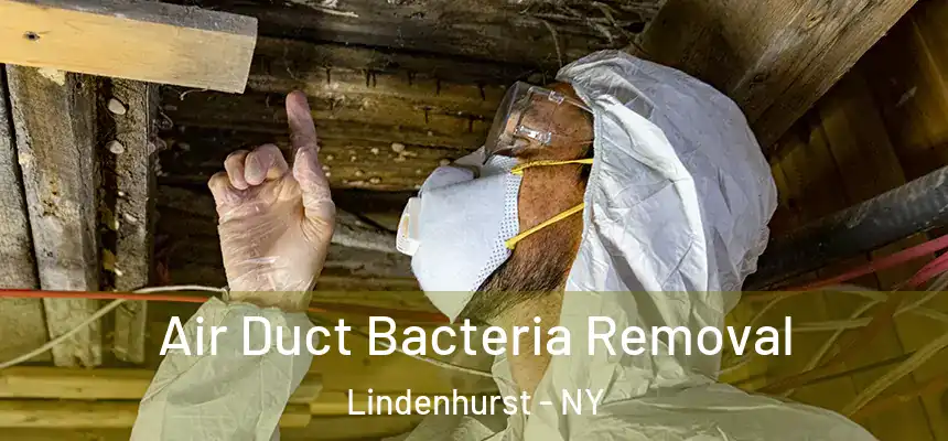 Air Duct Bacteria Removal Lindenhurst - NY
