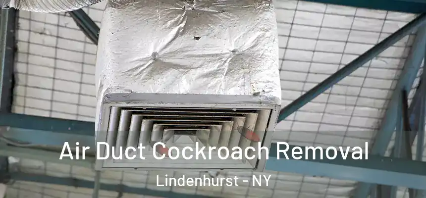 Air Duct Cockroach Removal Lindenhurst - NY