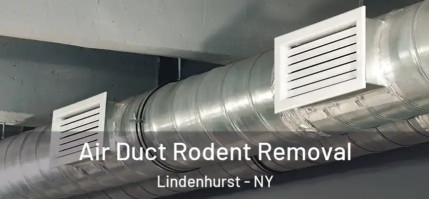  Air Duct Rodent Removal Lindenhurst - NY