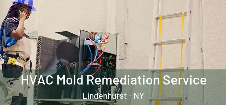 HVAC Mold Remediation Service Lindenhurst - NY