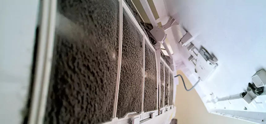 Preventive Air Duct Bacteria Removal in Lindenhurst