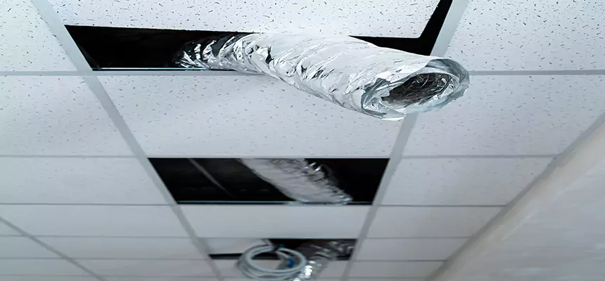 Affordable HVAC Sanitizing After Pest Removal in Lindenhurst