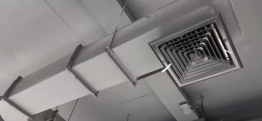 Our Pest Removal From Ducts Services in Lindenhurst, NY