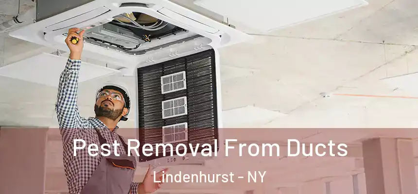 Pest Removal From Ducts Lindenhurst - NY