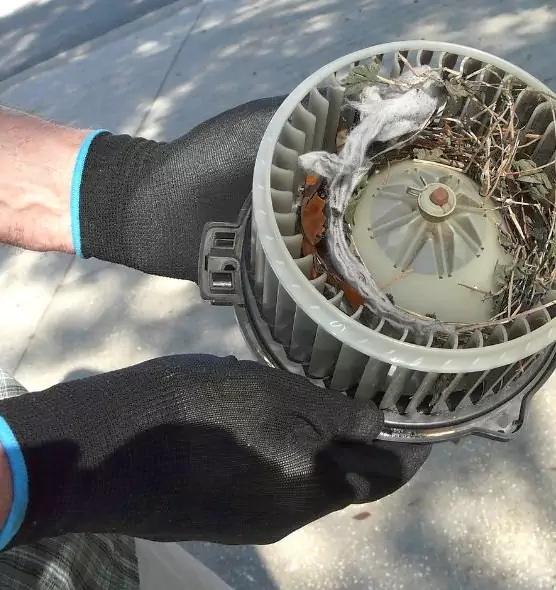 About Air Duct Rat Removal in Lindenhurst, NY