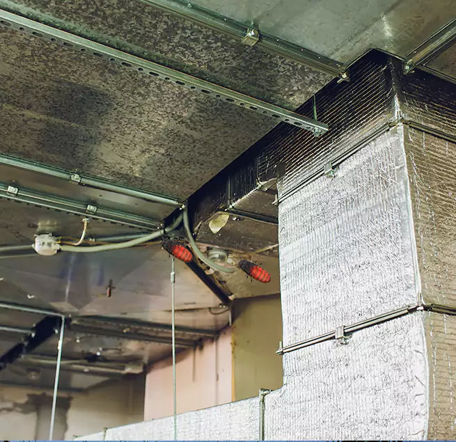 Why Homeowners & Businesses Trust Us in Lindenhurst, NY?